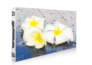 P1.591香蕉视频WWW